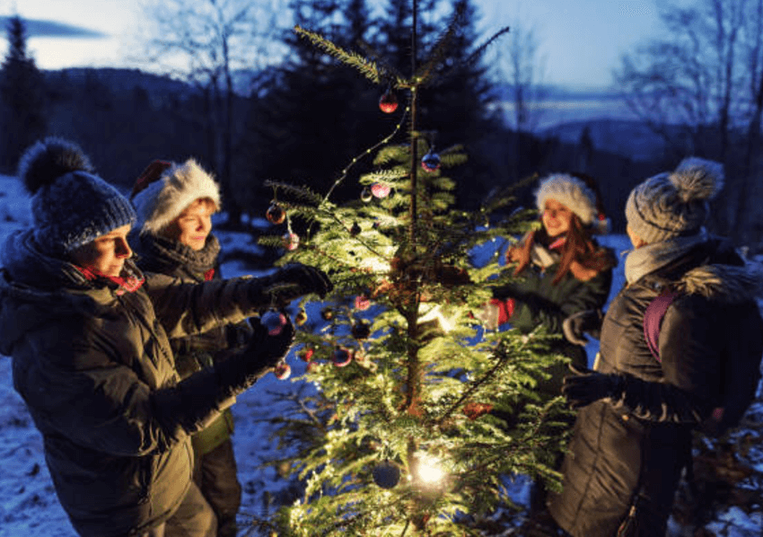 Outdoor Christmas Decorating Ideas - Outdoor Christmas Tree